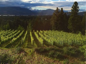 The Okanagan Valley is producing great riesling and other aromatic grape varieties.