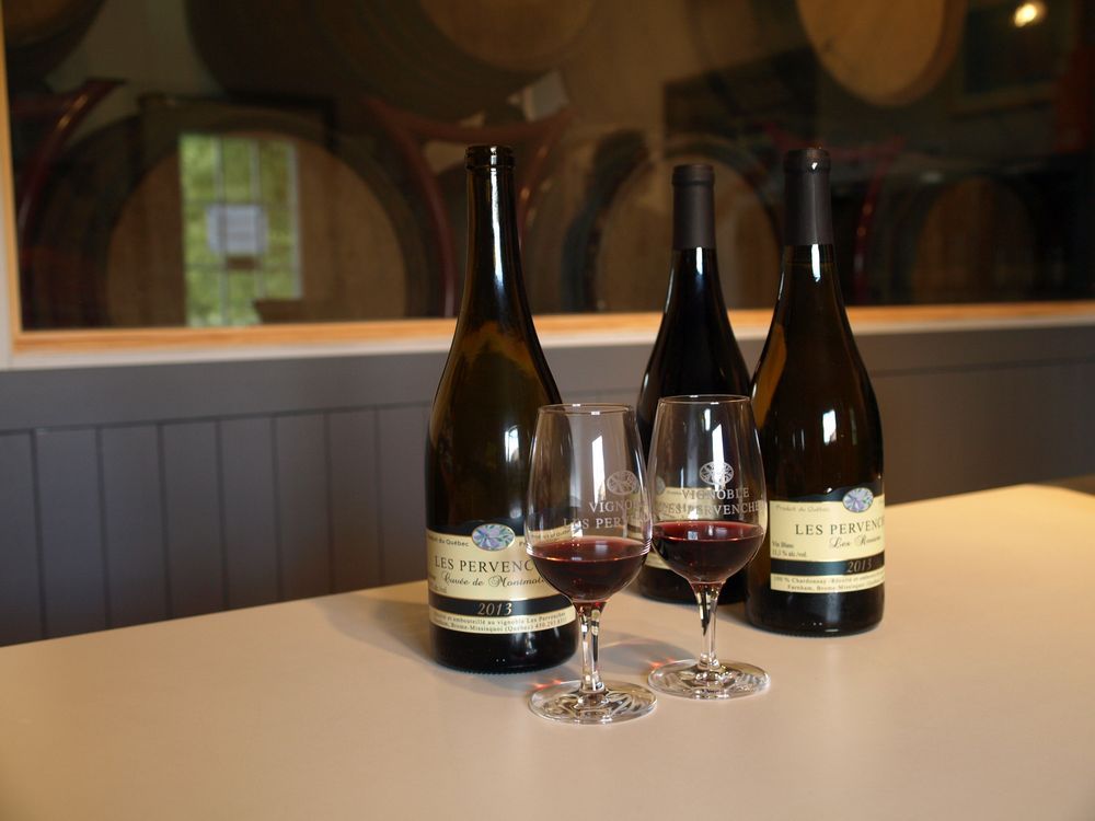 Bill Zacharkiw Quebecers can finally take pride in their wine