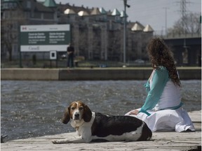 A woman with her dog sit and enjoy the warm weather on the boardwalk in Ste-Anne-de-Bellevue in May 2014.