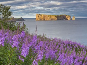 "My roots are more tangible while I’m in the Gaspé," writes Mel Simoneau.