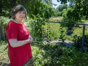 Louise Legault and the creek that crosses Meadowbrook Golf Course in Montreal on Monday, July 9, 2018. Quebec Superior Court has ordered the city of Montreal to bury or decontaminate the creek, which was originally the St-Pierre River. Les Amis is calling for the creek to be saved because it is the last surviving remnant of the St-Pierre River, the rest of which has been buried underground.