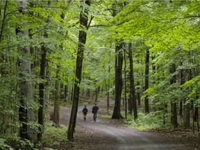 "Despite the absence of a national urban forest strategy," writes Michael Rosen of Tree Canada, Montreal "is showing what’s possible when the public and private sectors work together.