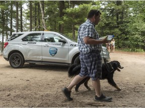 The town of Hudson had banned all dogs at Sandy Beach, one of the only beaches that allows dogs around Montreal, after a man reported he was attacked by a "pit bull-type" dog last week. Ron Charles and his Swiss mountain dog, Siena, were politely informed by Hudson Public Security of the dog ban at the beach last Friday.