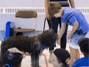 Albert the dog interacted with kids at the Camp de jour St-Charles on Monday during one of hundreds of workshops being given to children as part of an aggressive dog awareness program the city is embarking on.