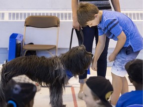 Kids taking part ion the Camp de jour Saint-Charles get dog sensitization course from Zootherapie Quebec in Montreal on Monday July 16, 2018. (Allen McInnis / MONTREAL GAZETTE) ORG XMIT: 61059