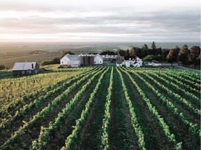 Coteau Rougemont offers a large selection of high-quality wines and ciders.