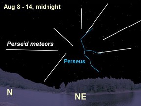 West Islanders can look to the skies to catch meteor showers this month. A Perseids viewing party will be held at the Morgan Arboretum on Aug. 11, starting at 7:30 p.m.