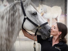 “Horses are individuals just like us,” says Odysseo rider Chelsea Jordan, greeting Gavilan as the horses arrived at the show's Montreal site Thursday, July 19, 2018. “They’re creative and they have their own unique personalities.”