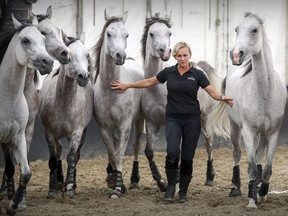 Liberty trainer Sylvia Zerbini, who calls herself a horse listener, controls a group of horses during introduction of the Cavalia horses in Montreal Thursday July 19, 2018.