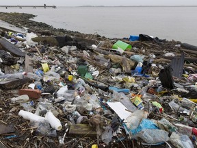 Microplastics are turning up in our stool, a new study suggests.