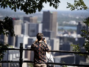 The Escarpment Path on Mount Royal in Montreal.