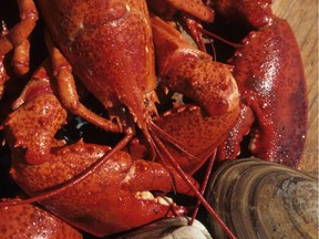 Lobster is a staple and a delicacy as are snow crab, blue mussels and scallops. PHOTO CREDIT-  P. Arsenault/Tourisme Œles de la Madeleine