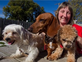Helen Lacroix, who launched Animatch canine adoption services in 1999, was forced to relocate this year.
