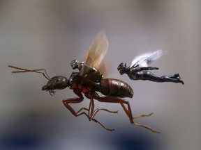 This image released by Marvel Studios shows a scene from "Ant-Man and the Wasp."