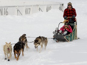 Mushers give dog sled rides through Northview Park at Pointe Claire's Winter Ice Breaker, west of Montreal, January 22, 2011. Some travel writers from France seem to think this is how kids in Quebec get to school during 10-month-long winters, Lise Ravary says.