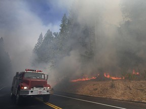 FILE - In this Aug. 26, 2013 file photo, a fire truck drives past burning trees as firefighters continue to battle the Rim Fire near Yosemite National Park, Calif. The California Department of Forestry and Fire Protection says a firefighter has been killed while battling a wildfire near Yosemite National Park. Officials say Heavy Fire Equipment Operator Braden Varney was killed Saturday, July 14, 2018, morning while battling the Ferguson Fire. The fire broke out around 10:30 p.m. Friday night in Mariposa County, near the west end of Yosemite National Park and the Sierra National Forest.