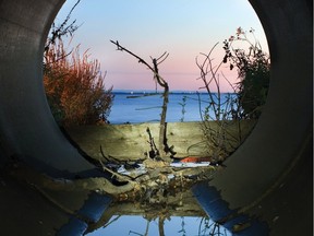 View through the outlet of a storm drain in Pointe Claire: The drain covers a section of Ruisseau TerraCotta,
one of many Montreal Island streams that have been partially or completely buried.