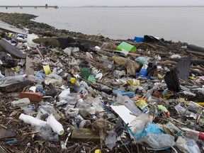 Tons of plastic and other waste lines areas along the Thames Estuary shoreline, near the North Sea in Britain, an important feeding ground for wading birds and other marine wildlife. According to the United Nations Environment Programme (UNEP), at current rates of pollution, there will probably be more plastic in the sea than fish by 2050.