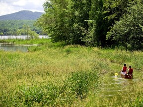 Rent a canoe or kayak and explore the hidden waterways of Yamaska National Park.