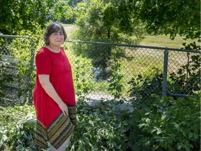 Louise Legault, director of Les Amis du Parc Meadowbrook, said that while the judge's frustration with the city's failure to clean up the contamination is understandable, eliminating the creek is not the answer.