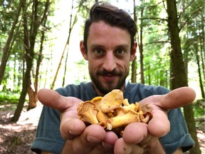 Theo Lerikos scrounges up chanterelle mushrooms. Before refining his foraging abilities, he says, "I was cooking and really interested in wild mushrooms, but I didn't know how to approach it and harness it."