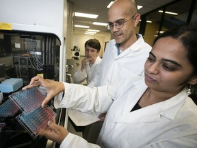 Concordia University Genome Foundry managers Smita Amarnath and Nicholas Gold (centre), and master student James Bagley work with the liquid handling robot at the centre, on Monday August 13, 2018.