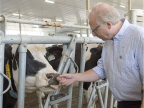 PQ leader Jean-Francois Lisee visits a dairy farm while campaigning Aug. 31, 2018, in Ste-Marie-Madelaine.