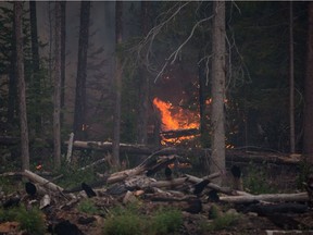 A wildfire burns on a logging road near Fort St. James, B.C., around 900 kilometres north of Vancouver, on Wednesday, August 15, 2018.