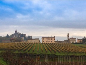 The Soave Classico area is dominated by challenging volcanic soils, which allows quality to be prized over quantity.