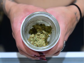 A jar of Insane OG, a strain of marijuana, is displayed at the opening of "Dr. Greenthumb" in California.
