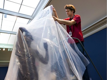 Clark Williamson, exhibit designer, drapes the sculpture "The Age of Bronze" by Auguste Rodin at the Chrysler Museum of Art in Norfolk, Va., Sept. 11, 2018, as category 4 Hurricane Florence approaches.