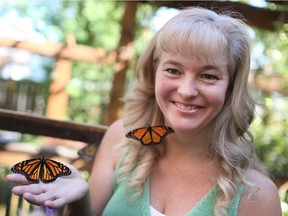 Cherie Dillen is pictured with a pair of Monarch butterflies clinging to her at her home in Lasalle, Wednesday, Sept. 5, 2018.