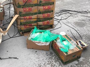 $18M of cocaine was found in bananas given to prison