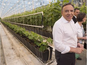 Coalition Avenir Québec Leader François Legault looks at cucumber plants as he visits a vegetable grower n Sainte-Clotilde on Wednesday.