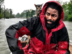 Robert Simmons Jr. and his kitten "Survivor" are rescued from floodwaters after Hurricane Florence dumped several inches of rain in the area overnight, Friday, Sept. 14, 2018, in New Bern, N.C.