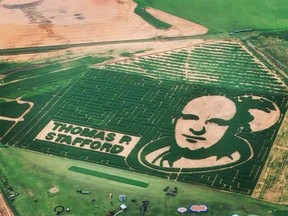 P Bar Farms Corn Maze's tribute to astronaut Thomas Stafford