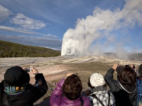 In this May 21, 2011, file photo, tourists photograph Old Faithful erupting on schedule late in the afternoon in Yellowstone National Park, Wyo. Yellowstone National Park officials say they've ticketed a man caught on video walking dangerously close to Old Faithful geyser.