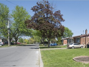 Trees line a street in Vaudreuil-Dorion. Some residents do not want the city to plant any more trees.