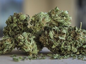 Marijuana/cannabis