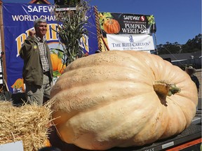 Steve Daletas of Pleasant Hill, Ore., celebrates his first place win in the 45th annual Safeway World Championship Pumpkin Weigh-Off on Monday, Oct. 8, 2018, in Half Moon Bay, Calif. A commercial pilot from Oregon raised a giant pumpkin weighing 2,170 pounds (984 kilograms) to win a pumpkin-weighing contest in Northern California. Daletas credited a good seed and lots of sunny days since he planted it April 15. It is the fourth time Daleta takes top honors at the annual pumpkin-weighing contest. (Aric Crabb/Bay Area News Group via AP) ORG XMIT: CAJOS501