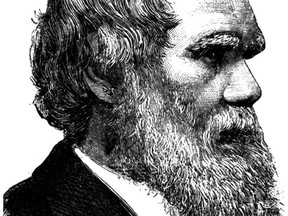 CHARLES DARWIN: 1809-1882 DARWIN CHARLES          USED JANUARY 23 2003 SKETCH OF CHARLES DARWIN.
CHARLES DARWIN: 1809-1882 DARWIN CHARLES        
USED JANUARY 23 2003 SKETCH OF CHARLES DARWIN.
USED OCT 22 2004 CHARLES DARWIN