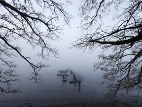 Fishermen on small boats take part in the traditional fish haul of the Krcin pond near the village of Mazelov, Czech Republic. Czechs will have to pay more for their traditional Christmas delicacy this year after a serious drought devastated the carp population this year.