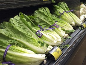 Since the E. coli outbreak, Loblaws and Sobeys have removed romaine lettuce from their shelves as a precaution.