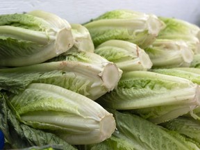 Romaine lettuce is seen at market in Montreal on Thursday, Nov. 22, 2018. Restaurants and grocery stores in Canada have not officially been told to pull their stocks of romaine lettuce, but an ongoing outbreak of E. coli is prompting many to do just that.