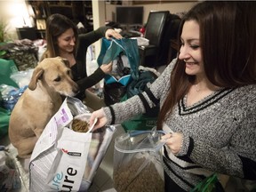 Baby looks on as Sara Capobianco, left, and sister Samantha prepare bags of supplies to distribute to the homeless and their dogs on Saturday.