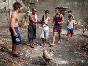 A group of young men inspect a fighting cock for potential purchase at a training yard at San Andres Bukid on April 12, 2014 in Manila, Philippines. (Luc Forsyth/Getty Images)