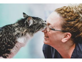 A cat is named Baloo nuzzles with a vet technician in a handout photo from the Montreal SPCA. Much to the relief of his loving family, Baloo the cat came back - just not the very next day - after being mistakenly shipped 1,200 kilometres away. THE CANADIAN PRESS/HO-Montreal SPCA MANDATORY CREDIT