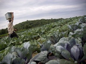 Jean Pronovost led an extensive consultation in 2007 and 2008 while overseeing a commission on the future of the Quebec agriculture and agri-food sectors.