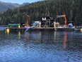 A ‘hydrolicer’ at work treating farmed, Atlantic salmon for sea lice.