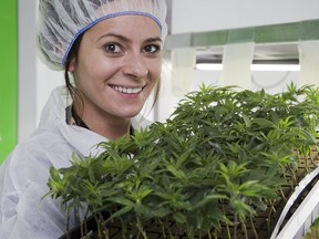 Egle Adomaityte is the Director of Cultivation at cannabis producer Indiva in London. (Derek Ruttan/The London Free Press)